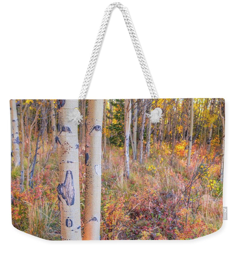 Autumn Weekender Tote Bag featuring the photograph Autumn's Warm Light by Darren White