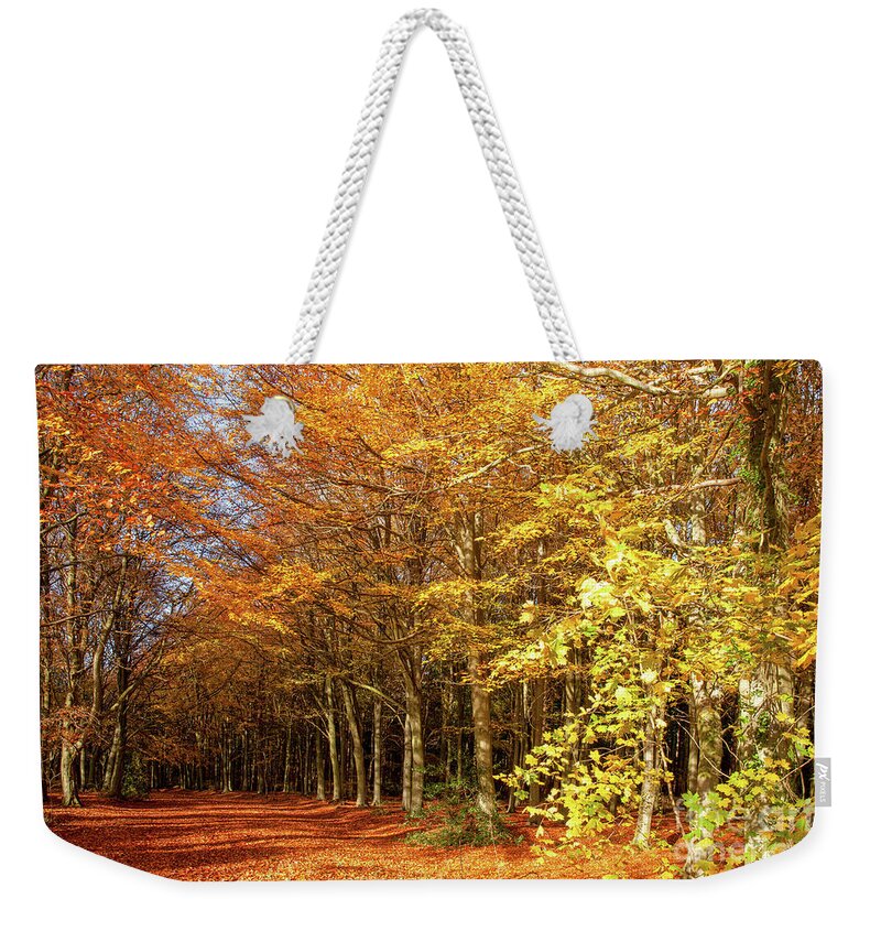 Norfolk Weekender Tote Bag featuring the photograph Avenue through autumn forest sunrise by Simon Bratt