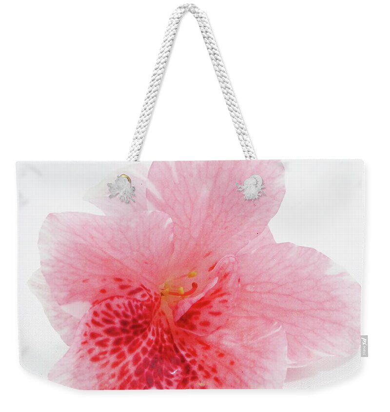 Azalea Weekender Tote Bag featuring the photograph Azalea Flower by Teresamarie Yawn