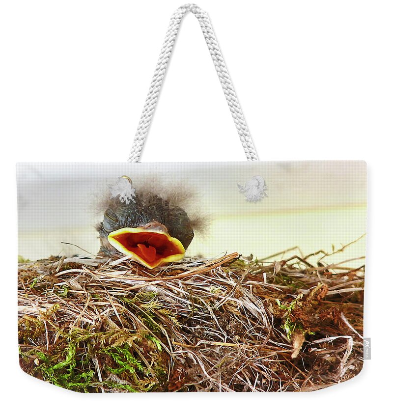 Bird Weekender Tote Bag featuring the photograph Baby Bird by Natalie Rotman Cote