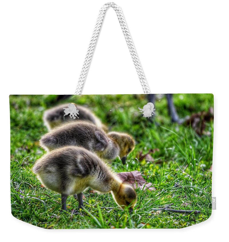 Photo Weekender Tote Bag featuring the photograph Baby Geese by Evan Foster