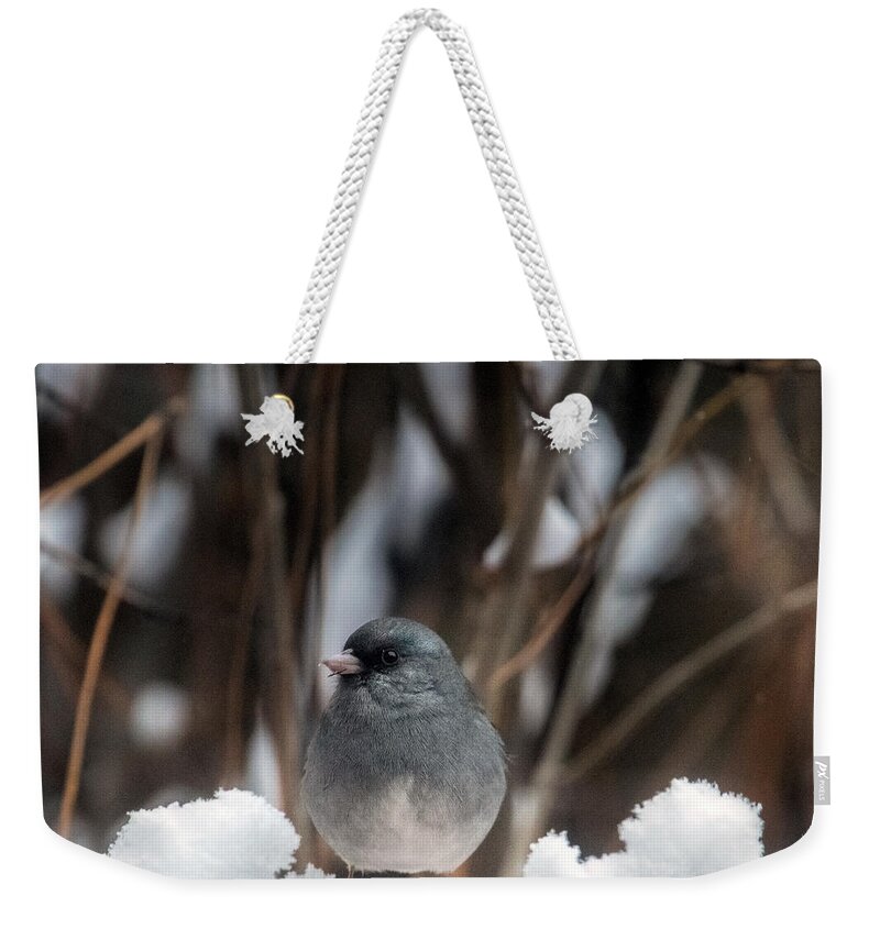 Junco Weekender Tote Bag featuring the photograph Baby, it's Cold Outside by Laura Putman