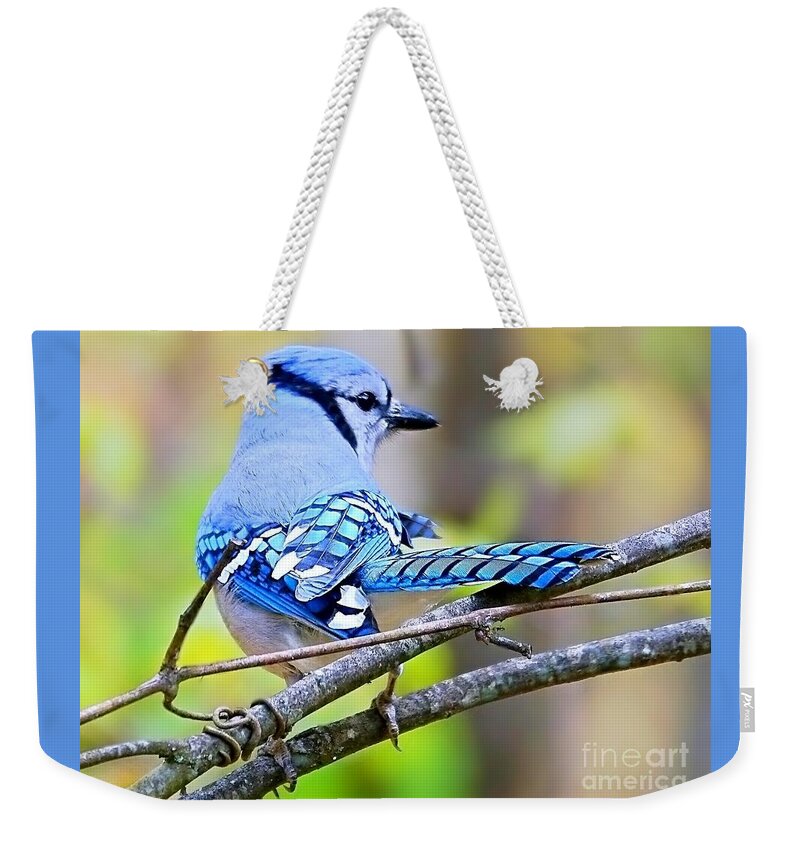 Blue Jay Weekender Tote Bag featuring the photograph Back Atcha Babe by Lori Lafargue