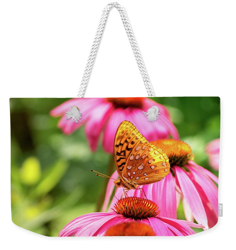 Great Spangled Fritillary Butterfly Weekender Tote Bag featuring the photograph Backlit Fritillary Butterfly on Coneflower I by Marianne Campolongo