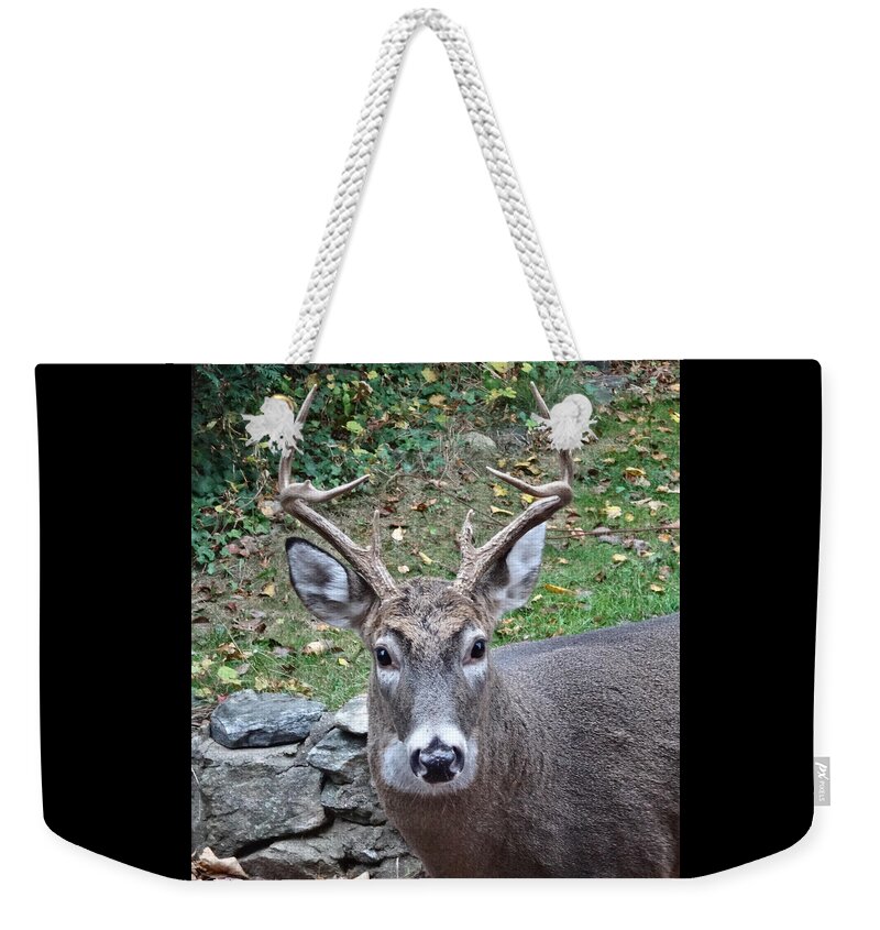 Deer Weekender Tote Bag featuring the photograph Backyard Buck by Russel Considine
