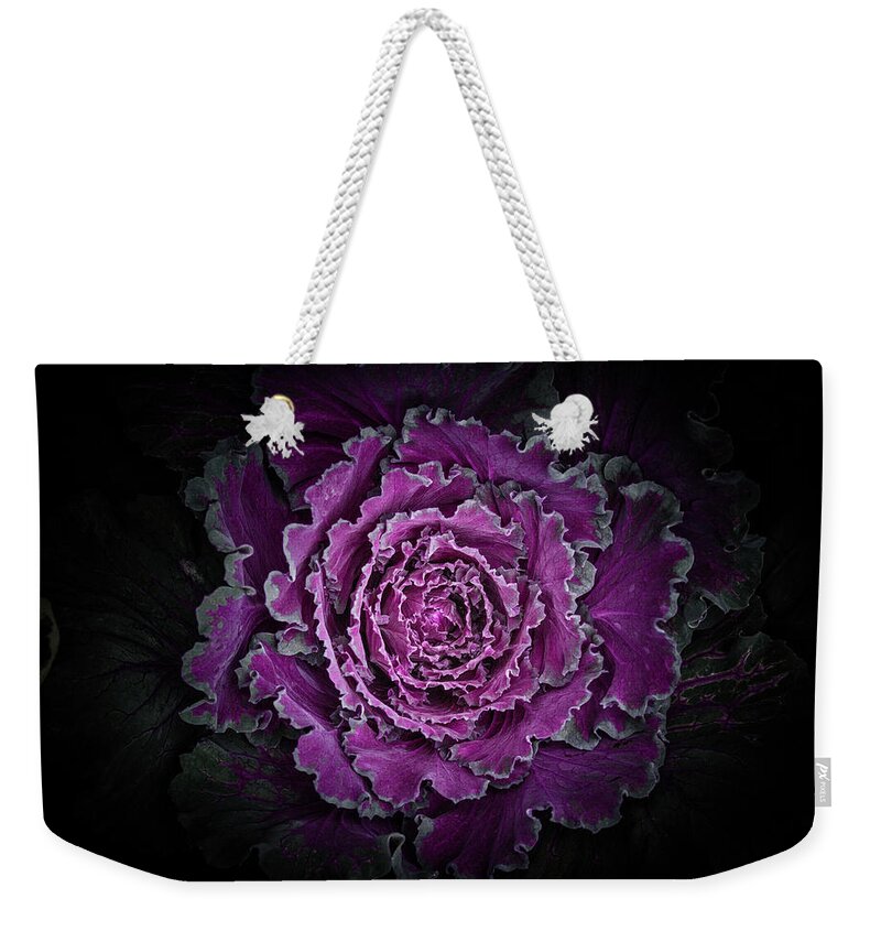 Brian Carson Weekender Tote Bag featuring the photograph Backyard Flowers No 97 Color Version by Brian Carson
