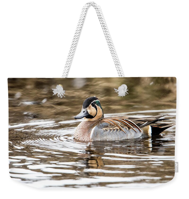 Baikal Teal Weekender Tote Bag featuring the photograph Baikal Teal, a swinning beauty and rare visitor in Sweden by Torbjorn Swenelius