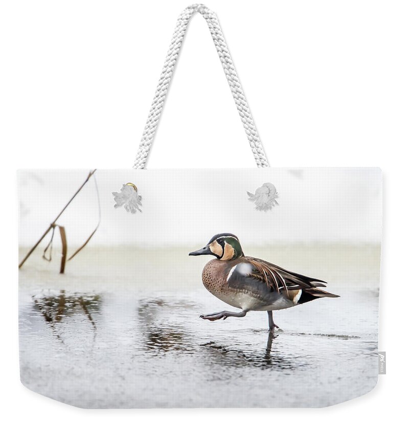 Baikal Teal Weekender Tote Bag featuring the photograph Baikal Teal, the beautiful and rare visitor in Sweden, walks wit by Torbjorn Swenelius