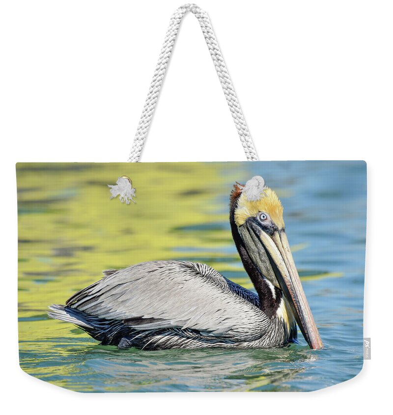 Brown Weekender Tote Bag featuring the photograph Bait Stand Reflections Too by Christopher Rice