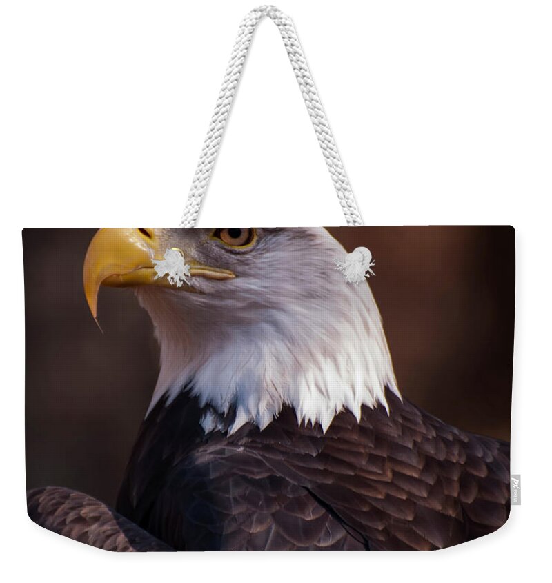 Bald Eagle Weekender Tote Bag featuring the photograph Bald Eagle 2 by Flees Photos