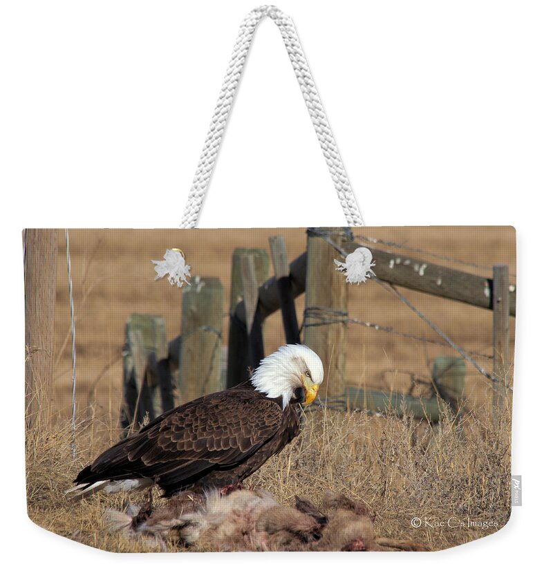 Eagle Weekender Tote Bag featuring the photograph Bald Eagle Dining by Kae Cheatham