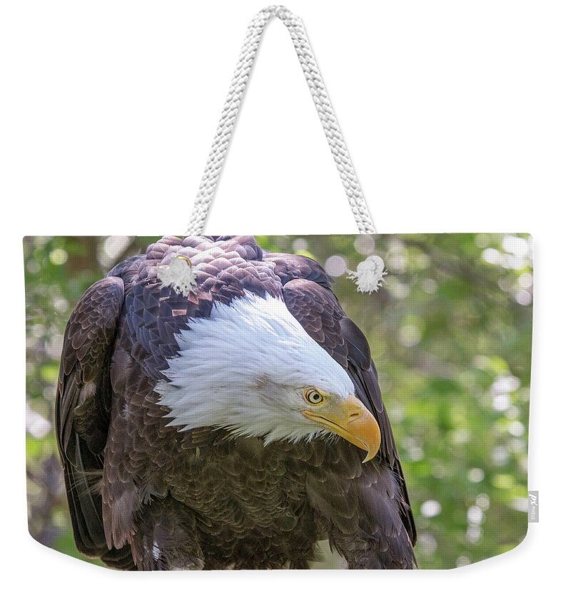 Bald Eagle Weekender Tote Bag featuring the photograph Bald Eagle Face Mask by Dawn Key
