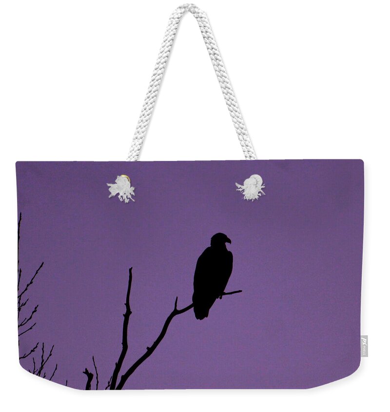Eagle Weekender Tote Bag featuring the photograph Bald Eagle in Silhouette by Mary Walchuck