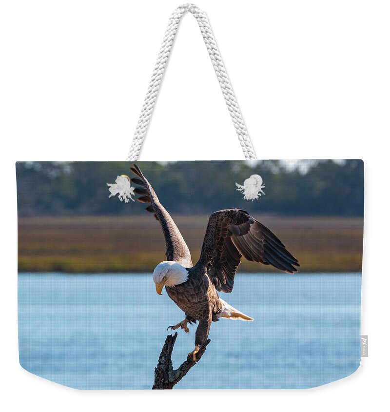 Bald Eagle Weekender Tote Bag featuring the photograph Bald Eagle Landing by D K Wall