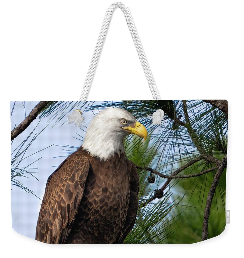 Bald Weekender Tote Bag featuring the photograph Bald Eagle by Larry Marshall