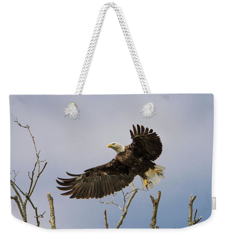 Bald Eagle Weekender Tote Bag featuring the photograph Bald Eagle by Linda Shannon Morgan