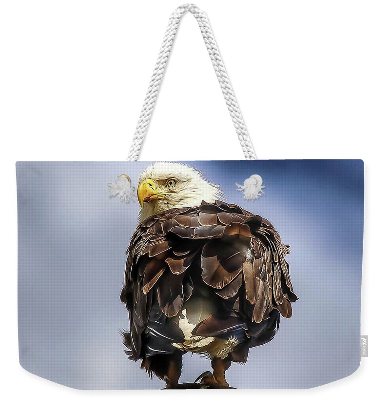Eagle Weekender Tote Bag featuring the photograph Bald Eagle by Pam Rendall