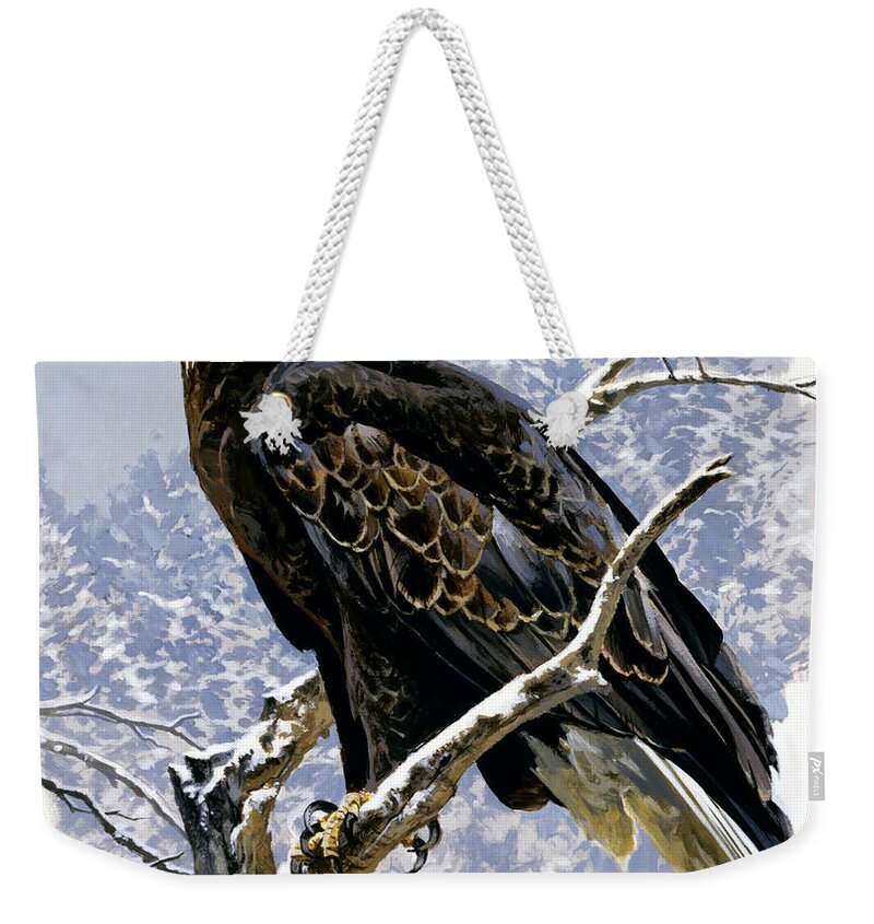 John Swatsley Weekender Tote Bag featuring the painting Bald Eagle Perched In Snow-Covered Tree by John Swatsley