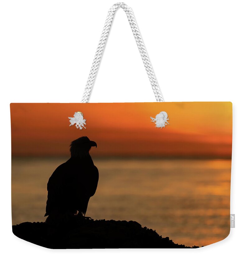 Bald Eagle Weekender Tote Bag featuring the photograph Bald Eagle Silhouette by Mark Harrington