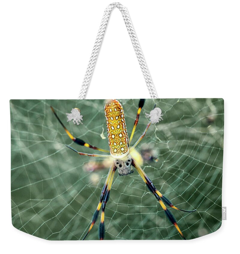 Banana Weekender Tote Bag featuring the photograph Banana Spider by Travis Rogers