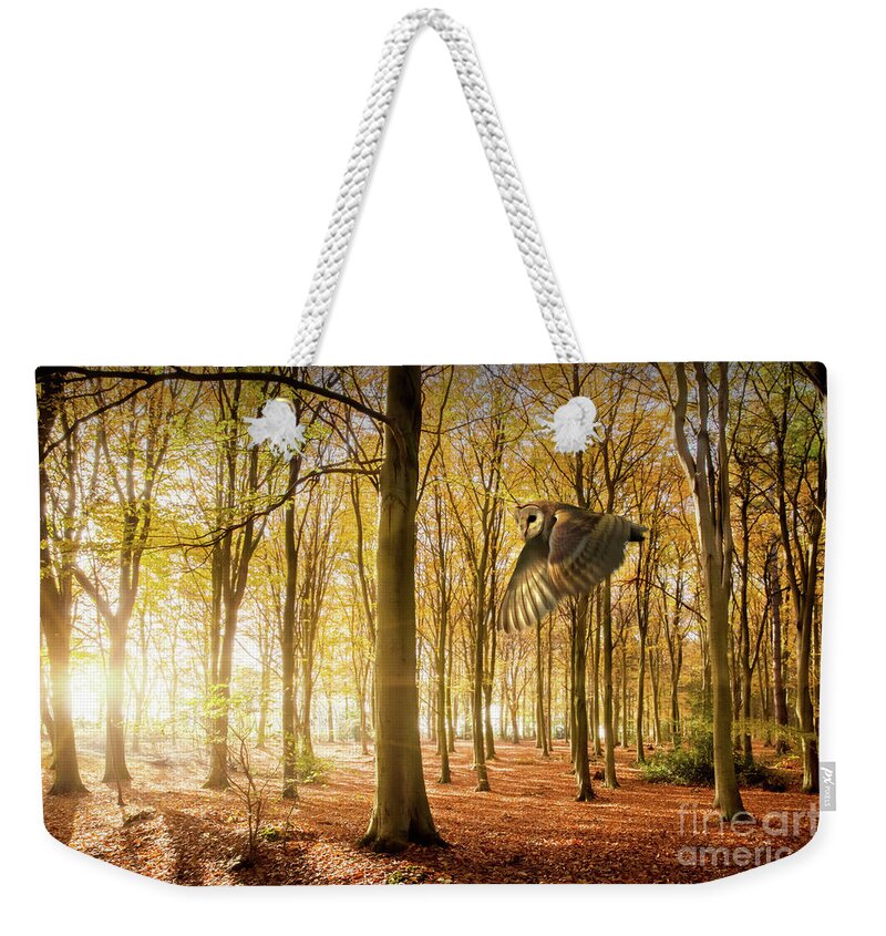 Autumn Weekender Tote Bag featuring the photograph Barn owl flying in autumn woodland by Simon Bratt