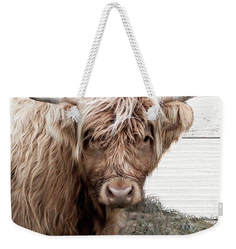Cow Weekender Tote Bag featuring the photograph Barnaby by Mindy Sommers