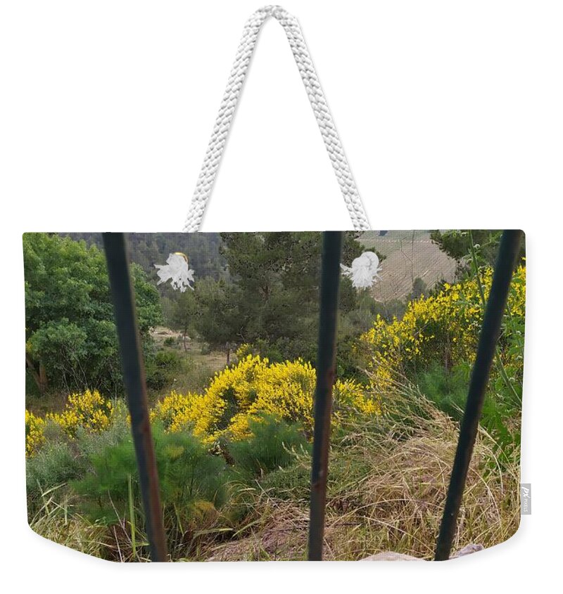 Photo Weekender Tote Bag featuring the photograph Barred Outlook by Esther Newman-Cohen
