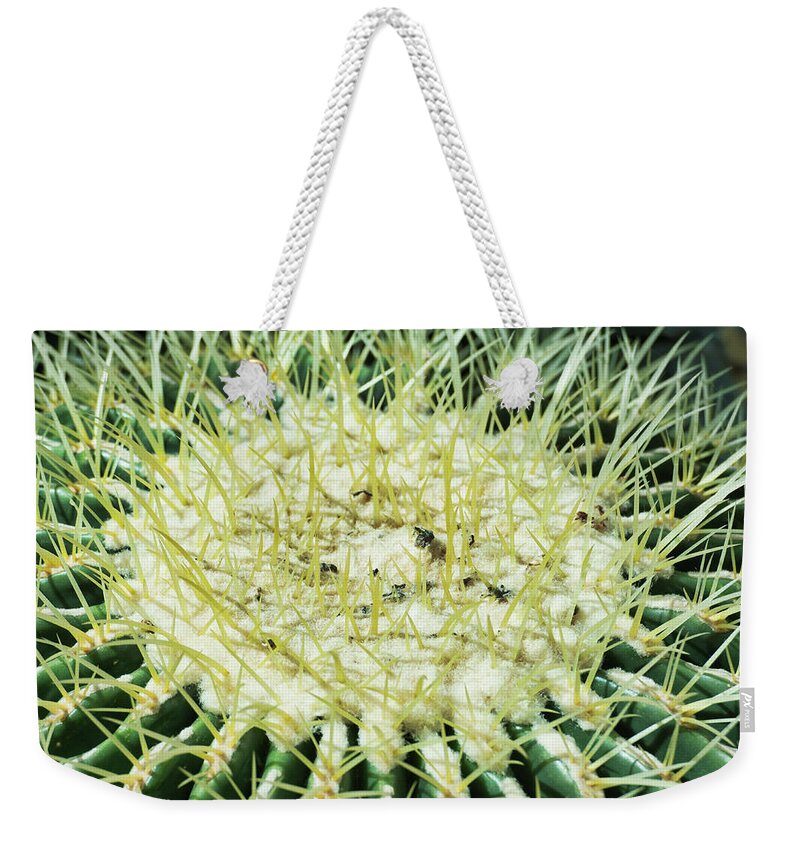 Flora Weekender Tote Bag featuring the photograph Barrel cactus by Segura Shaw Photography