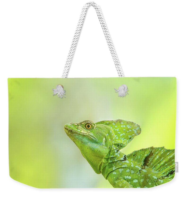 Jesus Christ Lizard Weekender Tote Bags