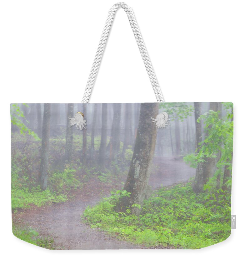 Art Prints Weekender Tote Bag featuring the photograph Baskins Creek Trail by Nunweiler Photography