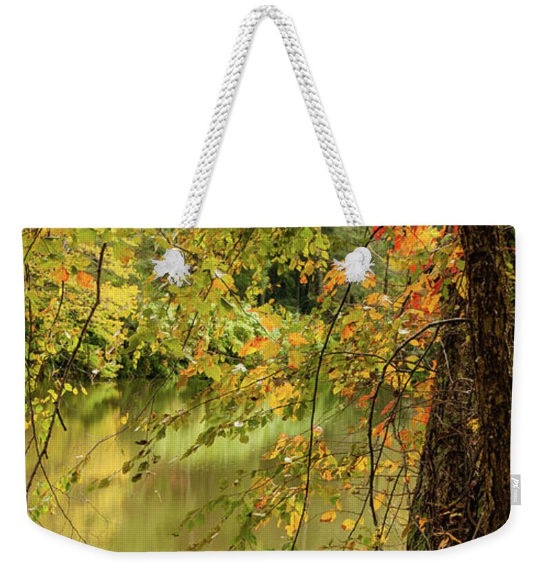Bass Pond Weekender Tote Bag featuring the photograph Bass Pond Biltmore by Rob Hemphill