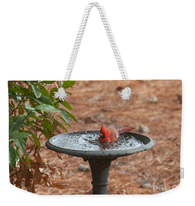 Cardinal Weekender Tote Bag featuring the photograph Bath Time for Cardinal by Jayne Carney
