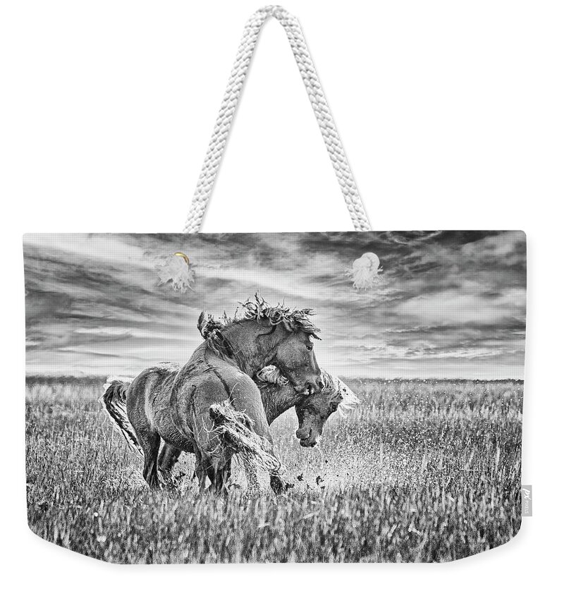Wild Mustang Weekender Tote Bag featuring the photograph Battling Mustangs Revisited - North Carolina by Bob Decker