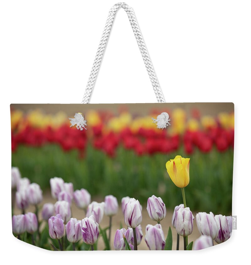 Tulip Weekender Tote Bag featuring the photograph Be Different. Rise Above by Steve Gravano