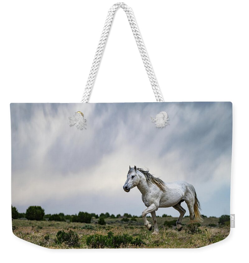 Wild Horse Weekender Tote Bag featuring the photograph Be the Thunder by Mary Hone
