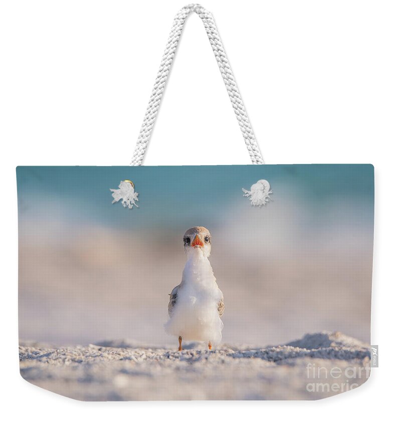 Babies Weekender Tote Bag featuring the photograph Beach Baby by John Hartung  ArtThatSmiles com