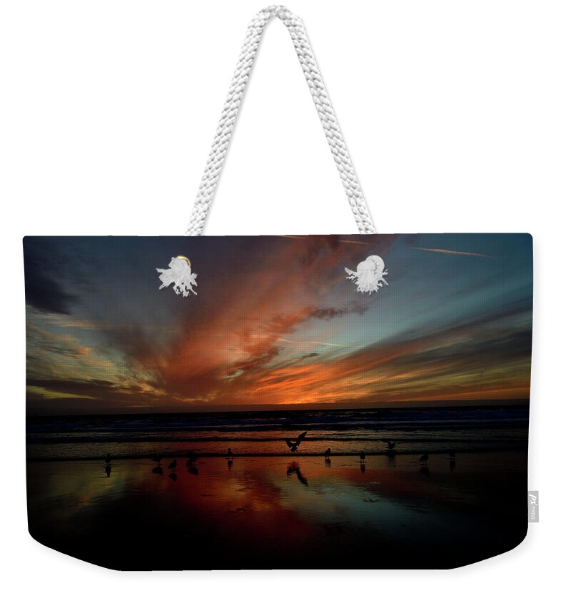 Beach Weekender Tote Bag featuring the photograph Beach Birds and Sunset at Moss Landing by Amazing Action Photo Video