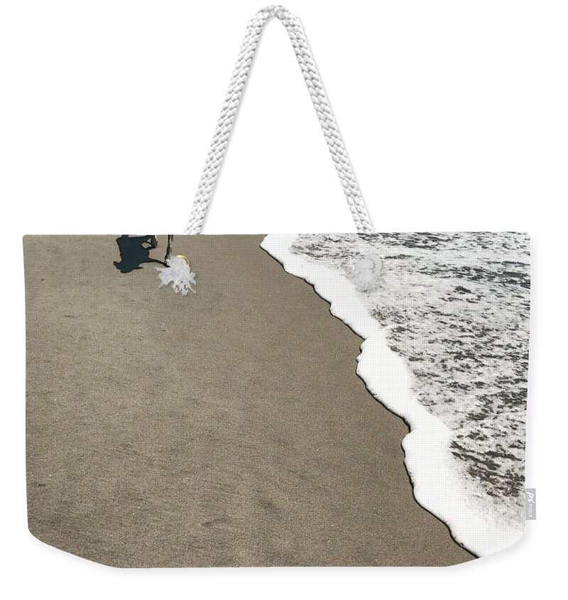 Dog Weekender Tote Bag featuring the photograph Beach Dog by Diana Rajala
