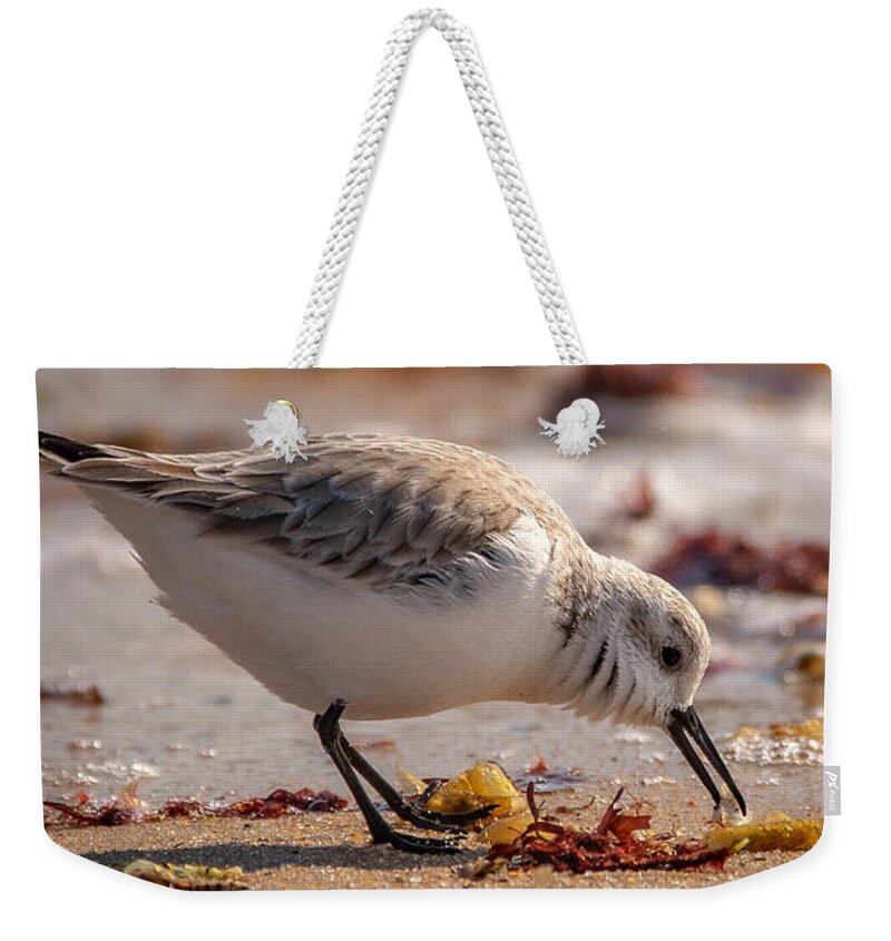 Shore Bird Weekender Tote Bag featuring the photograph Beach Salad by Linda Bonaccorsi