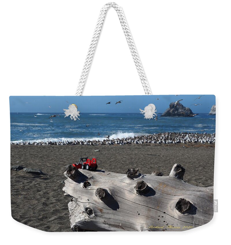 Seascape. Seabirds Weekender Tote Bag featuring the photograph Beached Birds by Richard Thomas