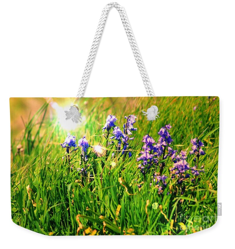 Bluebells Weekender Tote Bag featuring the photograph Beams On Bluebells by Kimberly Furey