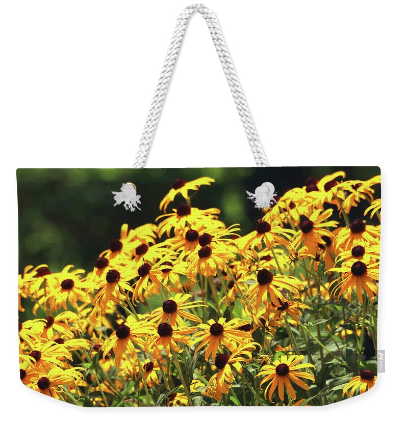 Flowers Weekender Tote Bag featuring the photograph Beautiful Black-Eyed Susan Flowers by Trina Ansel