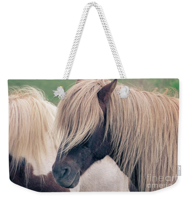 Horse Weekender Tote Bag featuring the photograph Beautiful icelandic horse by Delphimages Photo Creations