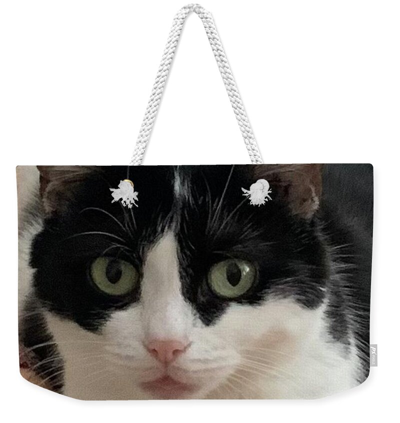 Beautiful Cat Face Weekender Tote Bag featuring the photograph Beautiful Mia by Elaine Hayward