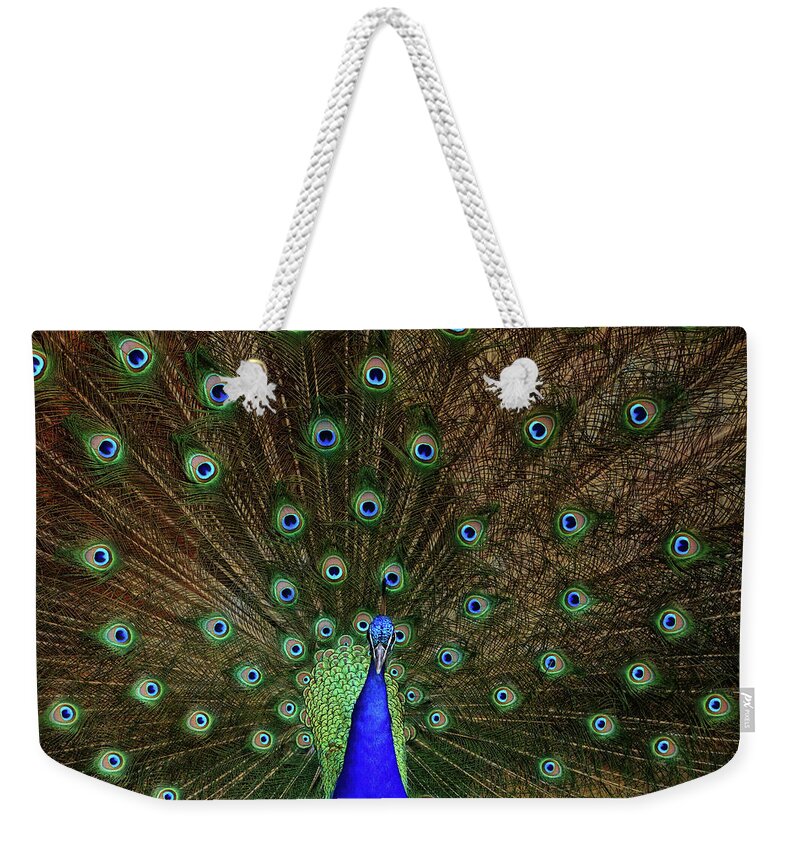 Peacock Weekender Tote Bag featuring the photograph Beautiful Peacock by Larry Marshall