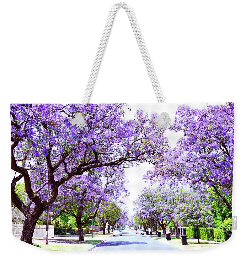 Jacaranda Weekender Tote Bag featuring the photograph Beautiful purple flower Jacaranda tree lined street in full bloom. by Milleflore Images