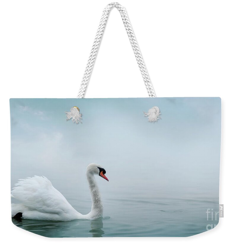 Swan Weekender Tote Bag featuring the photograph Beautiful white swan swimming in water. Fine art nature with wil by Jelena Jovanovic