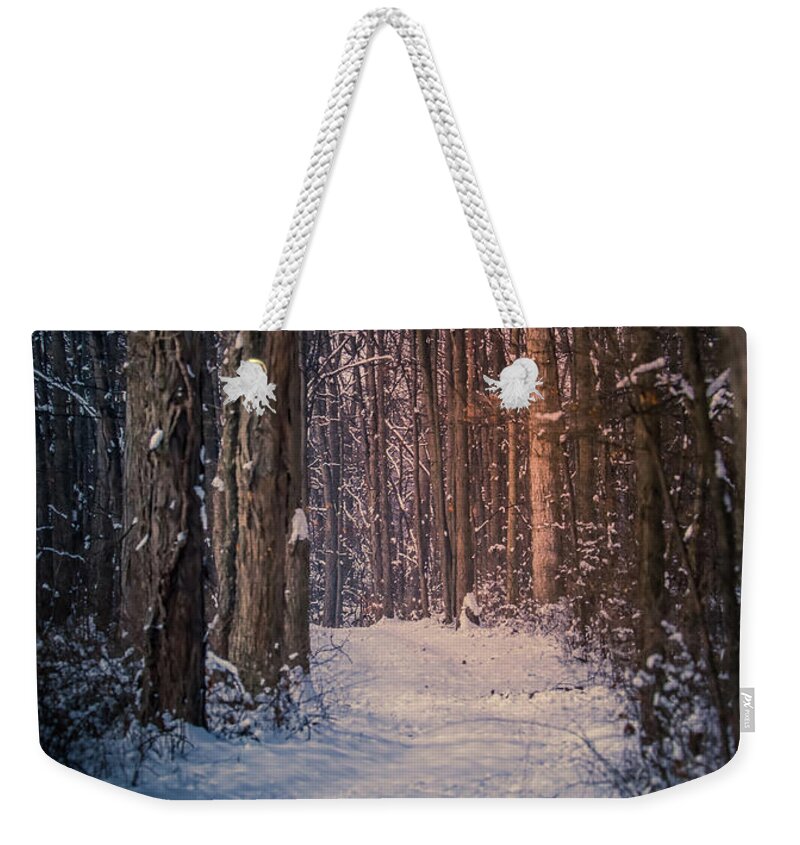 Beautiful Winter Path In The Forest Weekender Tote Bag featuring the photograph Beautiful Winter Path In The Forest by Dan Sproul