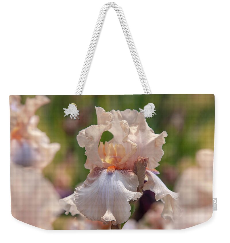 Jenny Rainbow Fine Art Photography Weekender Tote Bag featuring the photograph Beauty Of Irises. Ballerina Pirouette 4 by Jenny Rainbow