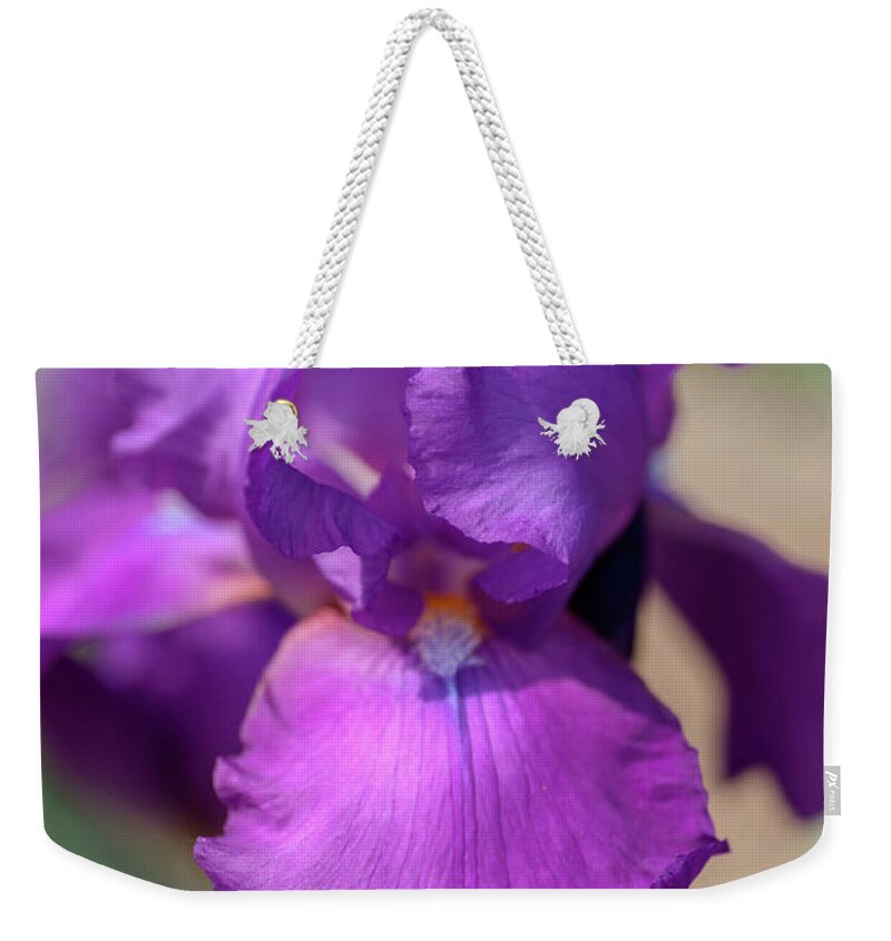 Jenny Rainbow Fine Art Photography Weekender Tote Bag featuring the photograph Beauty Of Irises. Chordette by Jenny Rainbow